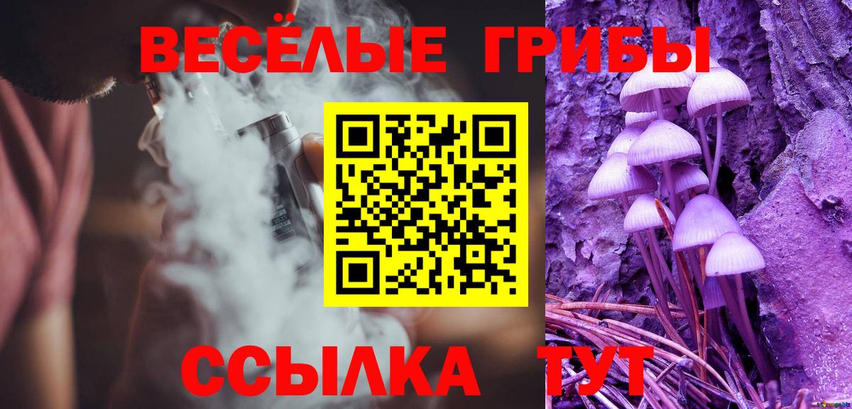 Псилоцибиновые грибы GOLDEN TEACHER  Вход с VPN  Десногорск 